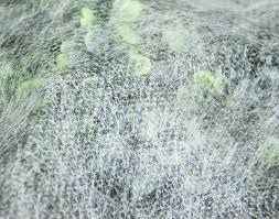 Folie AGRYL=ANTI-INGHET 23gr/mp 10.5x100m=887lei; MarginiDublate/Cusut