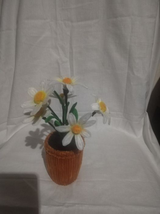 Декоративные цветы