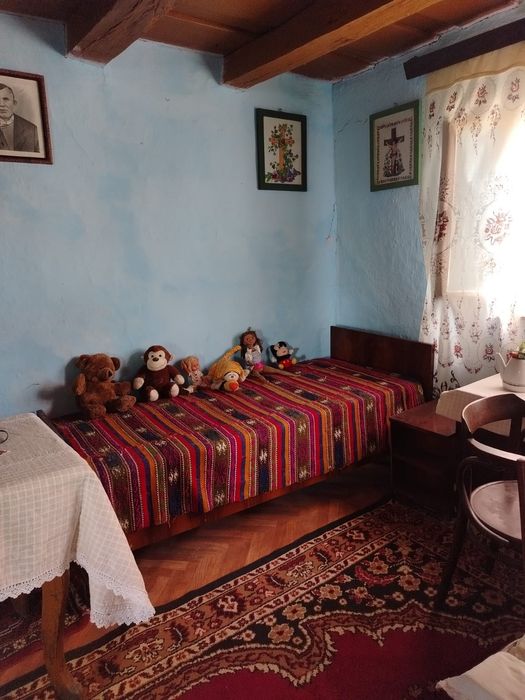 Proprietate cu 2 case și teren generos de 2900 mp