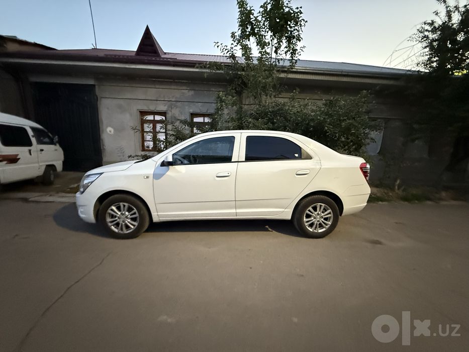 Kobalt sotladi 2025