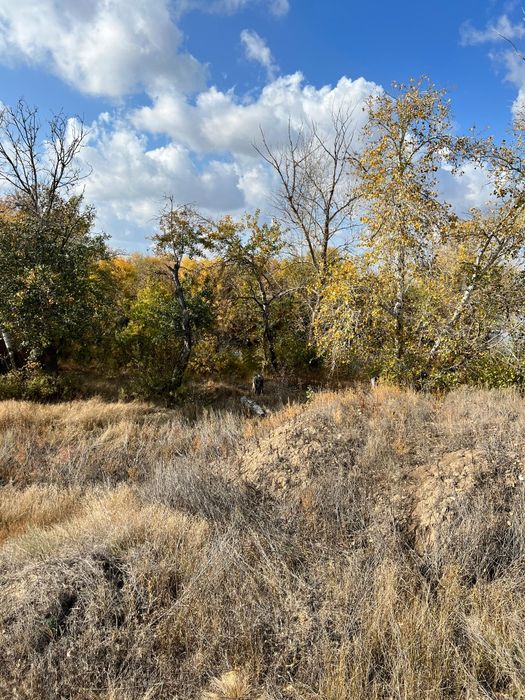 Продам участок 10 соток