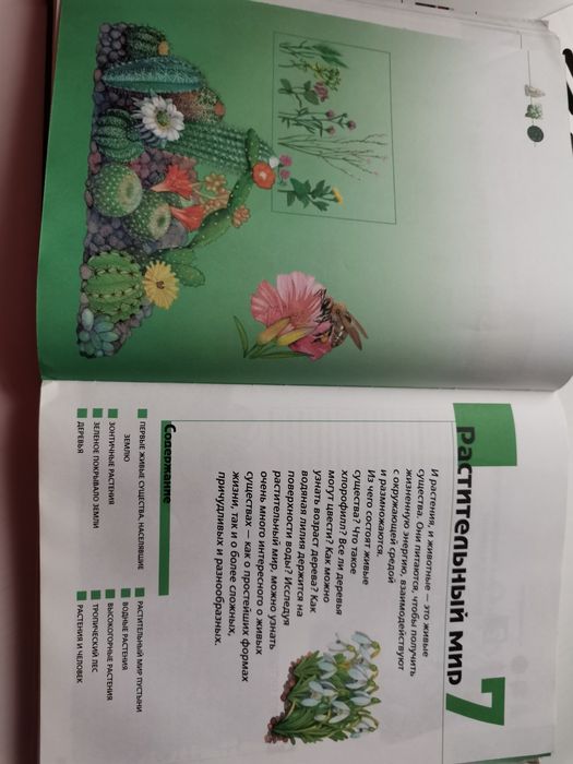 Книга познавательная