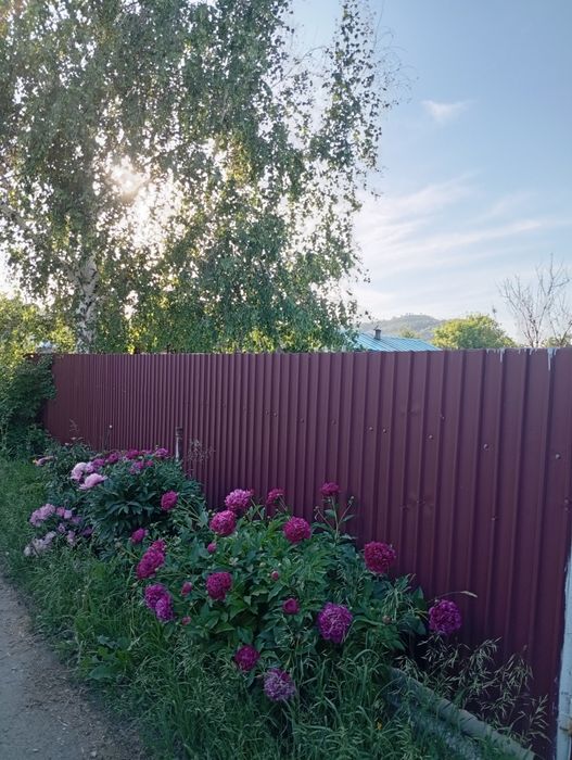 Участок в Н Бухтарме