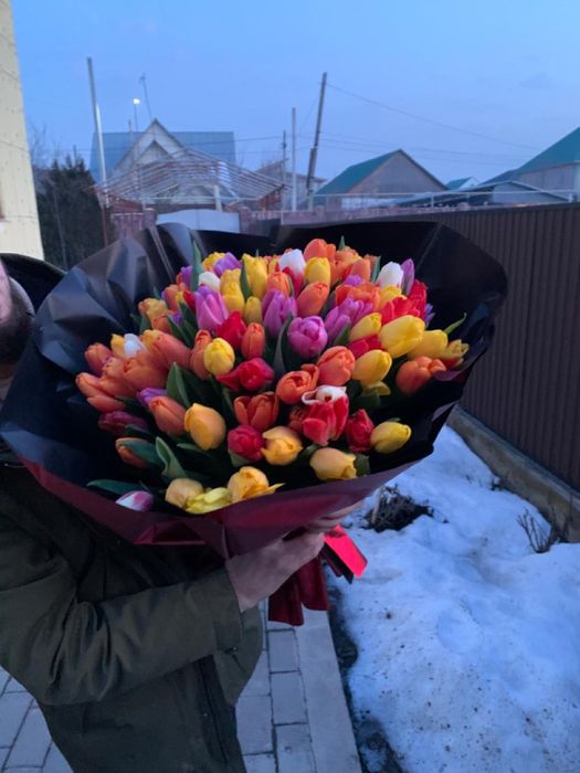 Тюльпаны к 8 марта !