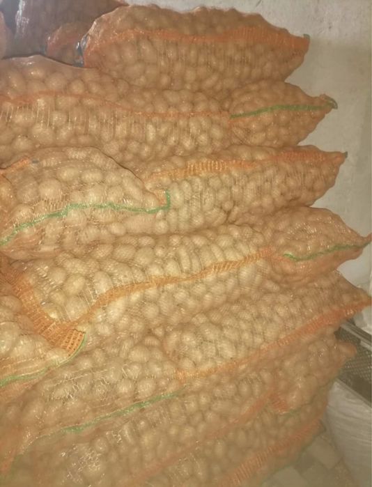 Vând Cartofi de sămânță!