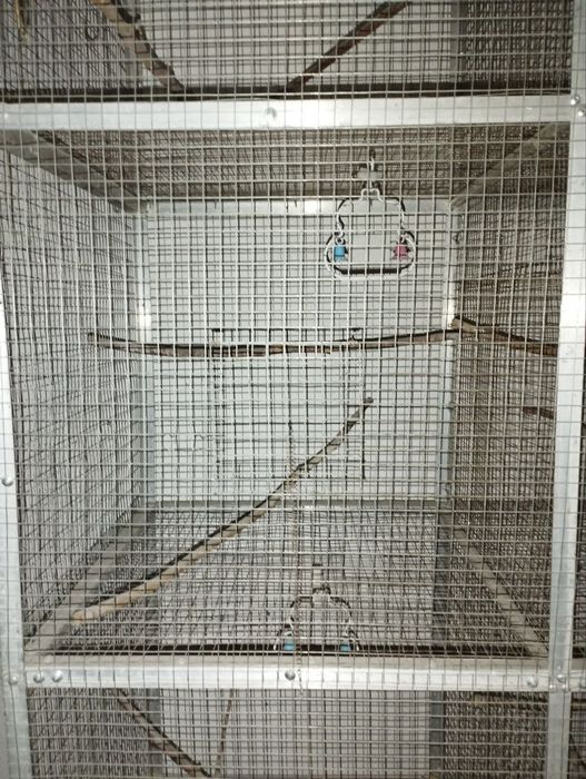 Срочна продаю вальер для размножения птиц