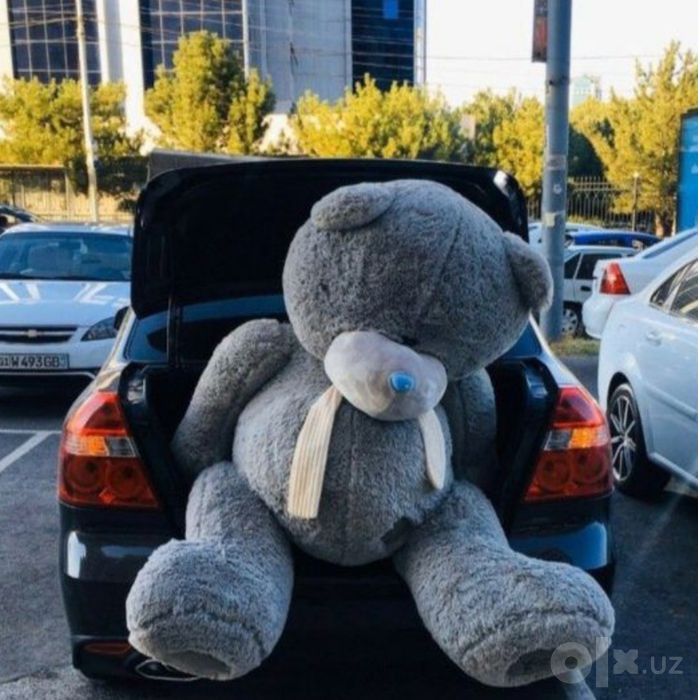 TEDDY,Teddi 1m_1.60sm