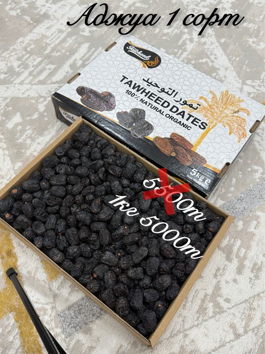 Суккари Аджуа Королевски финик