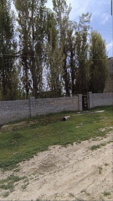 Yangi yo’lda yer