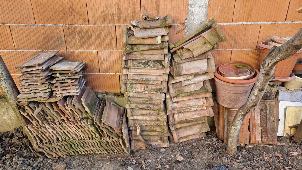 Vand tigla - Satu Mare