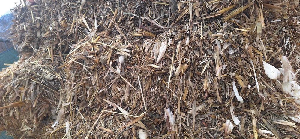 Vând baloti ovaz si ciocani