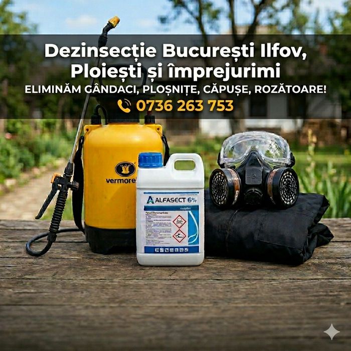 Dezinsecție & Deratizare București, Ilfov, Ploiești