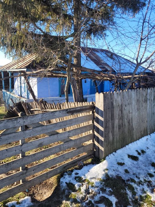 Gradina în satul Bojila cu casa de bătrâni veche