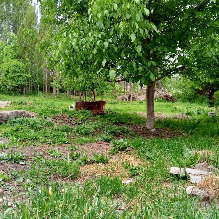 Участок Земля продается кодастор есть.. земля в пригороде имеется