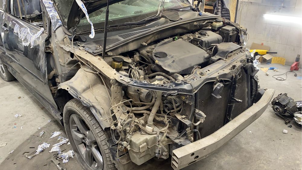 Костоправ маляр