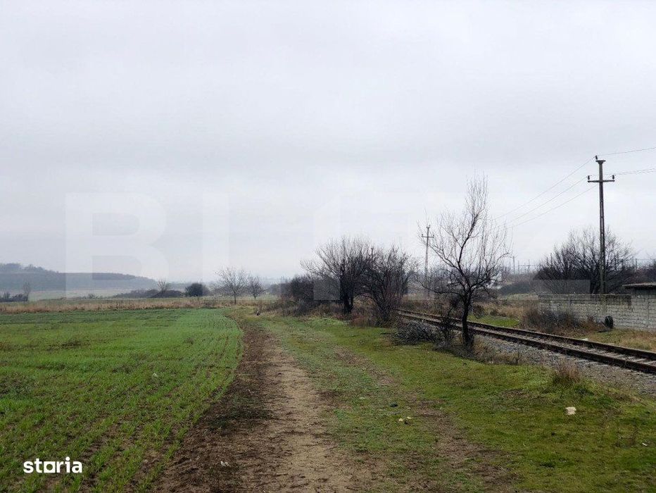 Teren intravilan industrial, 41.000 mp, front 117 m, Isalnita - DE70