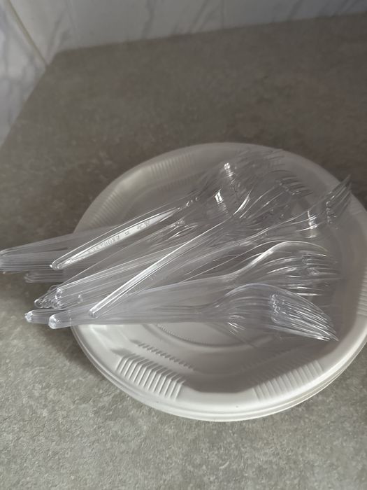 Vesela unica folosinta , farfurii , pahare , furculite