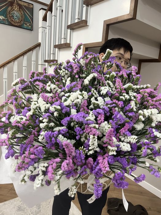 Цветы Статица в кашпо