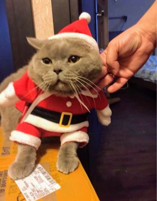 Costumaș Moș Crăciun pentru căței sau pisici