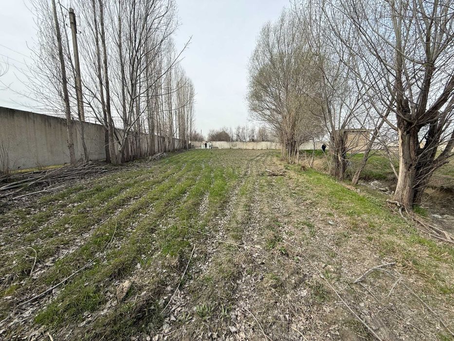 Yer oling — foyda qiling!