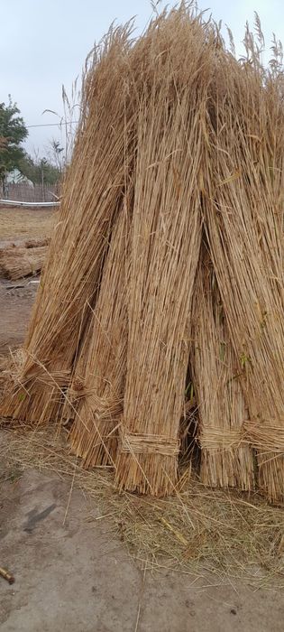 Stuf sortat grosimea 50-60