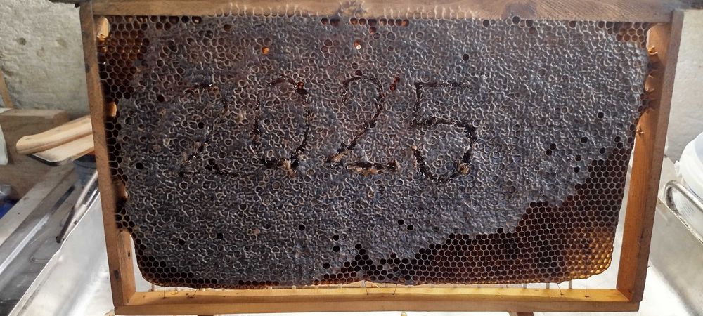 Манов мед пчелен мед