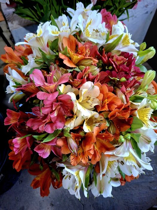 Цветы в ассортименте по оптовым ценам.