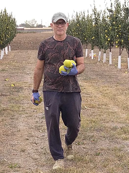 Продавам Дюлева овощна градина