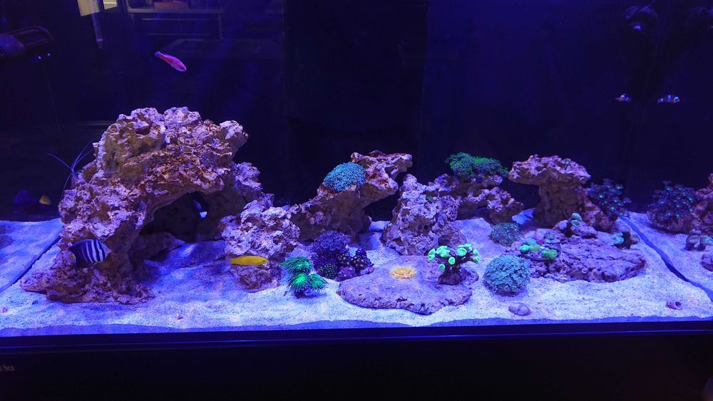 Морски аквариум RED SEA DELUX 425