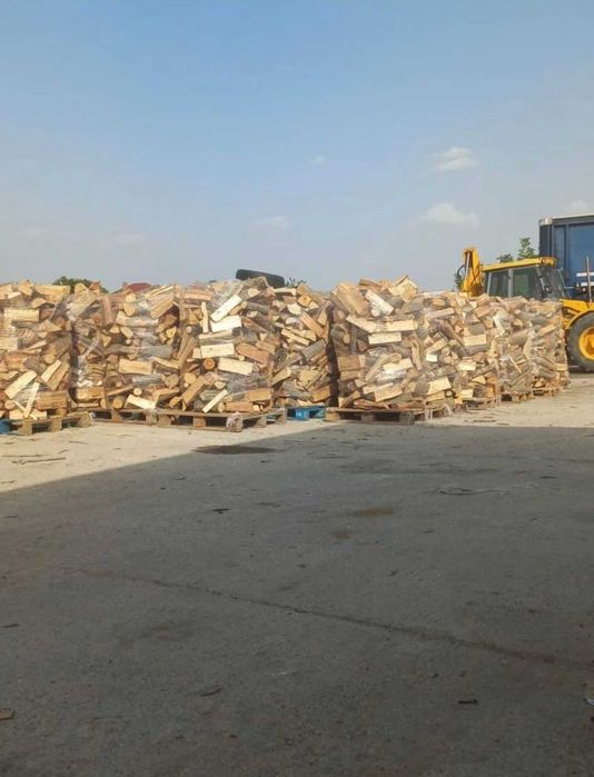 Lemne uscate de fag – pregătite pentru utilizare!