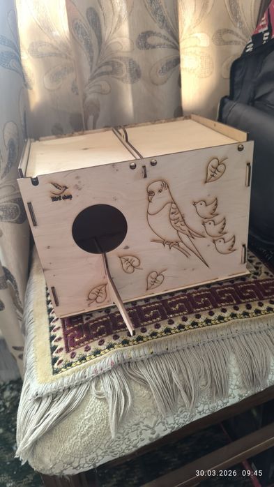 Продаются попугаи