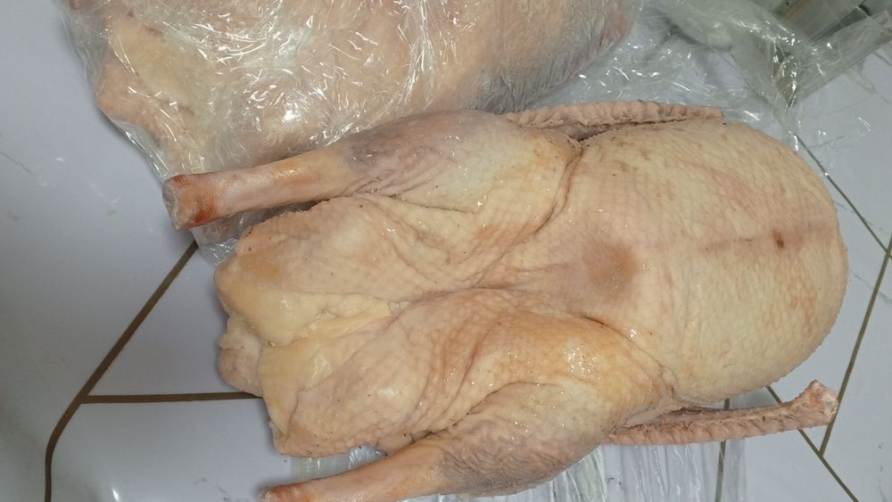 Продам гусей, уток, бройлер курочки