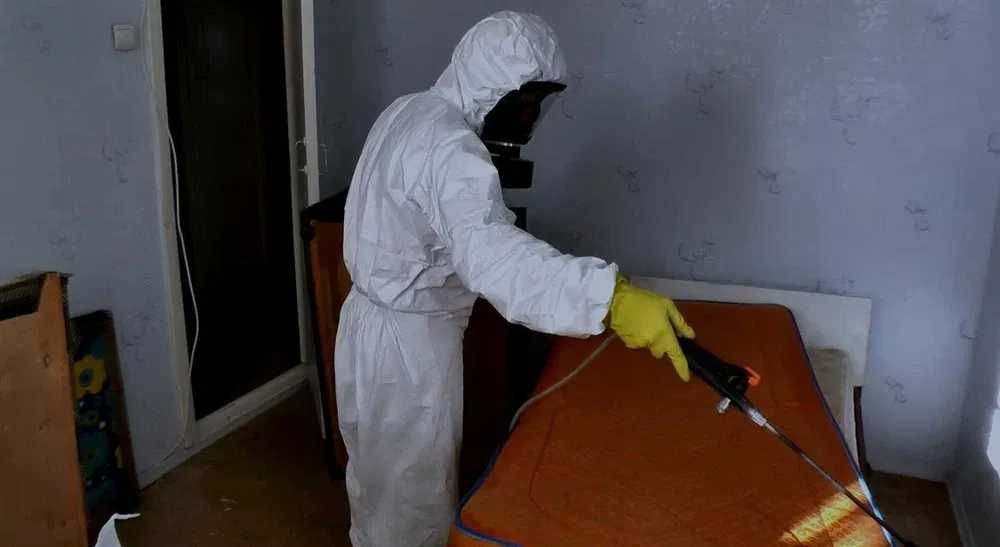 Dezinfeksiya klop tarakan Дезинфекция СКИДКИ до 40% от клопов клопы