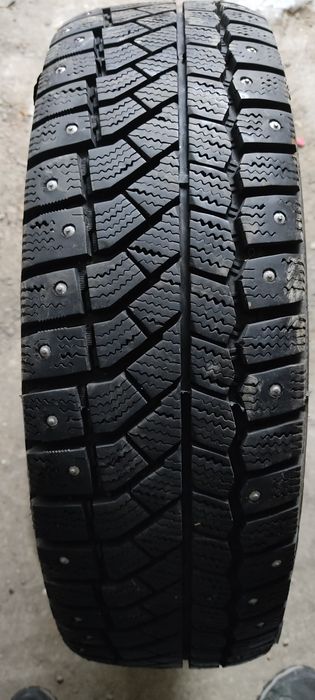 Виатти зима R 14