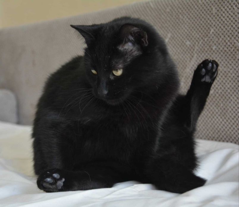 1-годишно момченце от Враца търси ДОМ