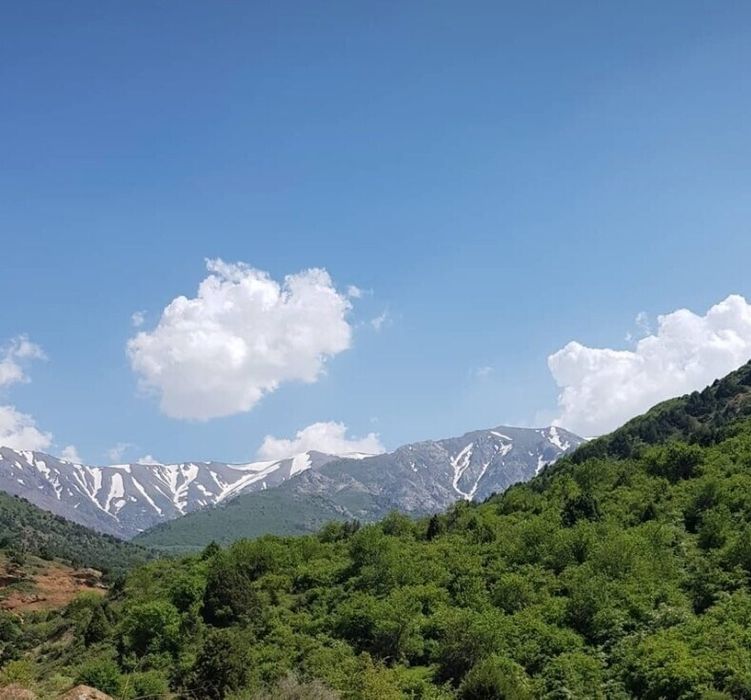 Прод-ся: Земли вдоль дороги