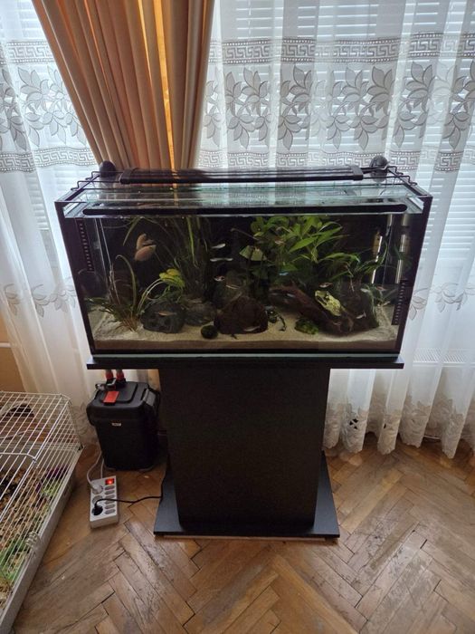 Аквариум за рибки със стойка
