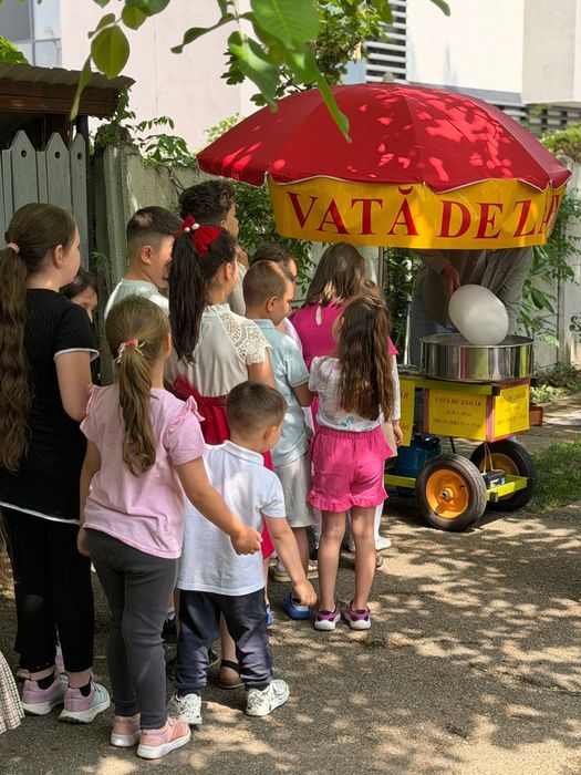 Vata de zahar pentru evenimente