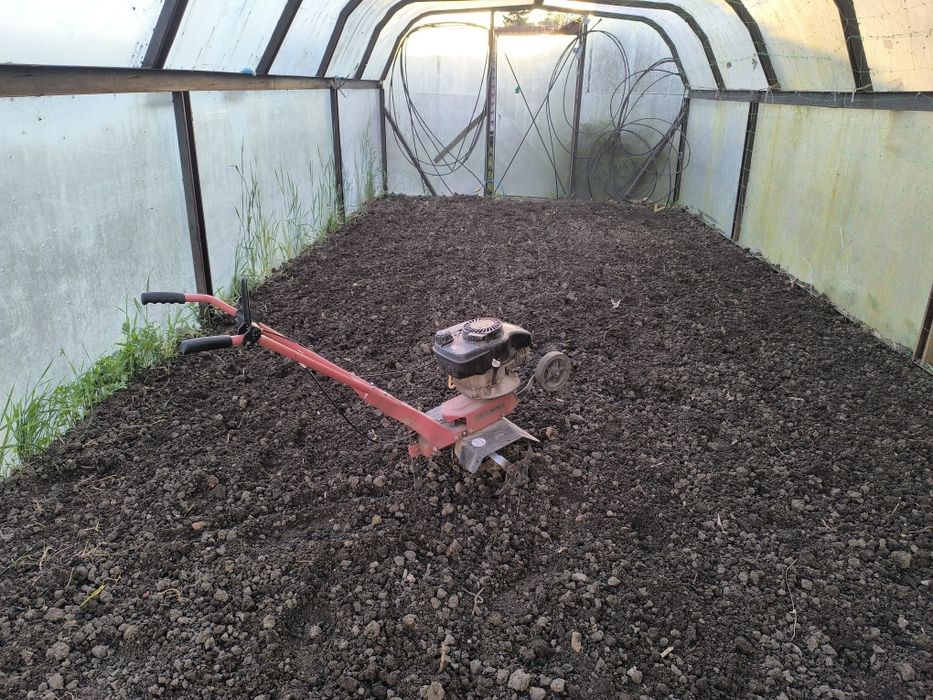 Motosapa Tempo nu Pascuali sau lombardini