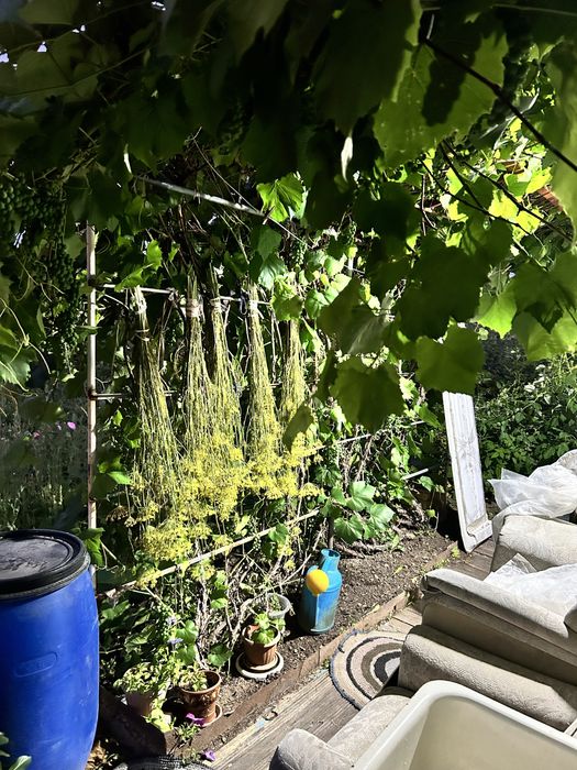 Продам Дачу на Уралочке