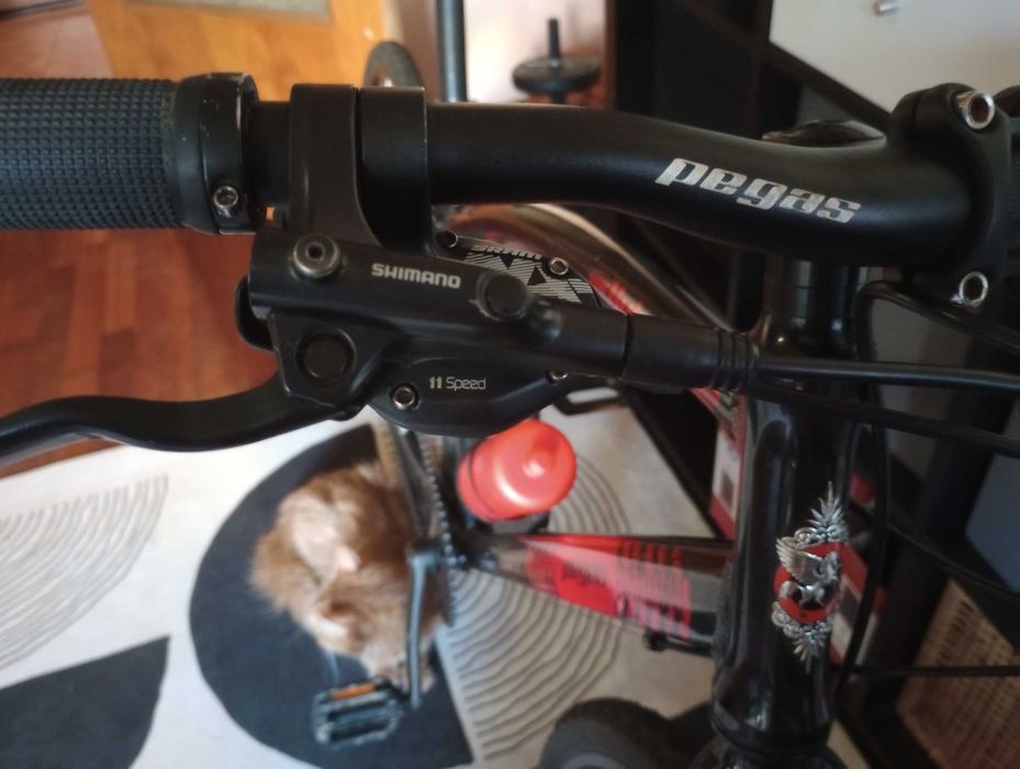 Bicicleta Pegas Hoinar (pentru oras, livrari, sau drumetii)