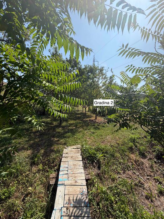 Casă de vânzare în Brebi, Sălaj – 3 camere, 4.746 mp teren, garaj și anexe