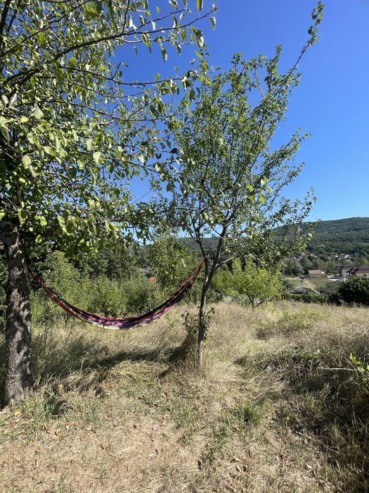 Morilor Teren constructii intravilan 3600mp