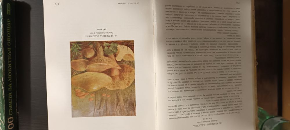 Специализирана литература за гъби и лозарство.