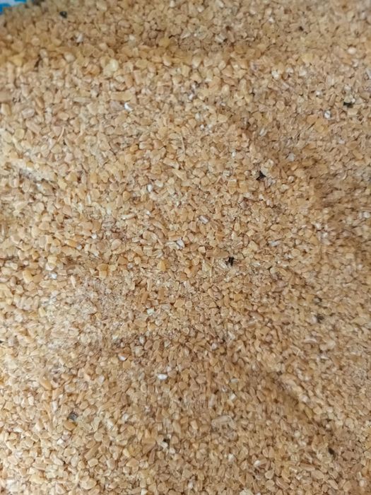 Корма для собак Костанай