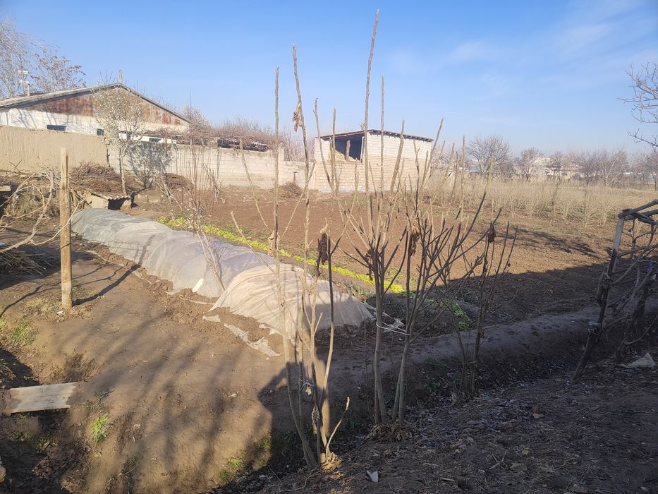 Е'лон бериш хакида