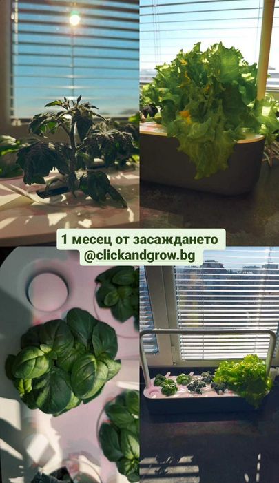 Смарт градинка Click&Grow