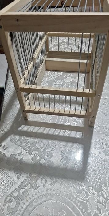 Colivi si prinzatori