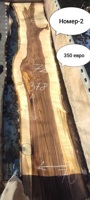 Големи янове орех