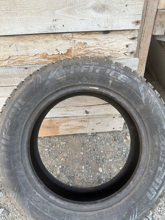 Шины кыскы донгелекк